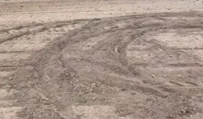 На полях Волині помітили аномальні кола: що там коїться (відео)