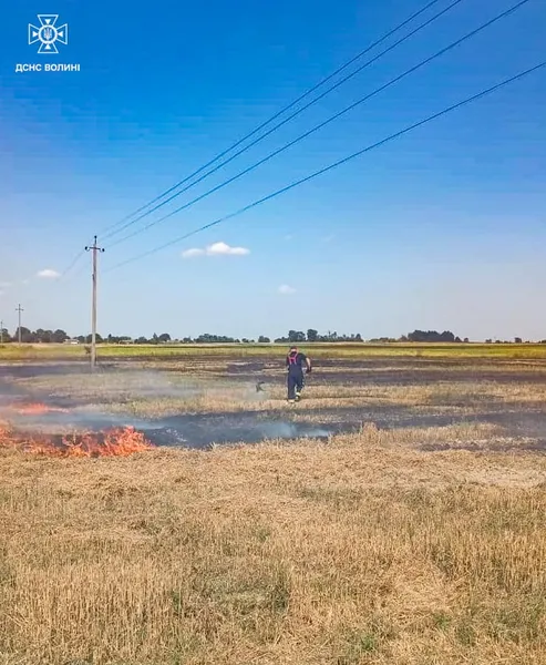 У трьох волинських селах – масштабні пожежі на полях (фото)