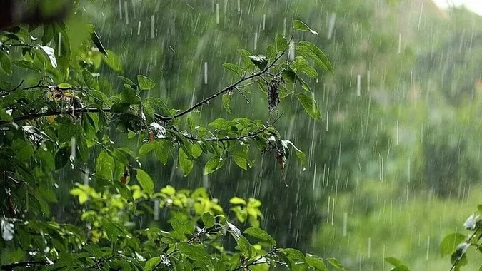 У другій половині дня – дощ: погода в Луцьку в неділю, 2 червня