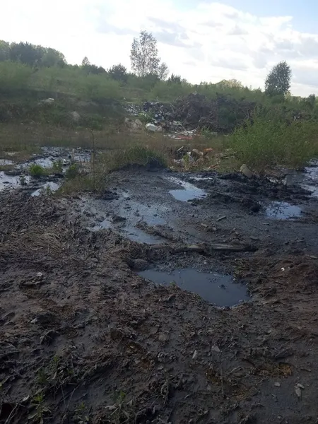 На Ковельщині нечистоти зливали прямо на землю (фото)