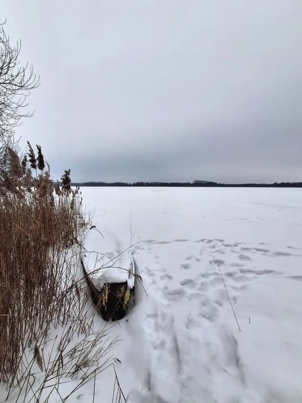Яким стало популярне серед відпочивальників озеро біля Шацька (фото)