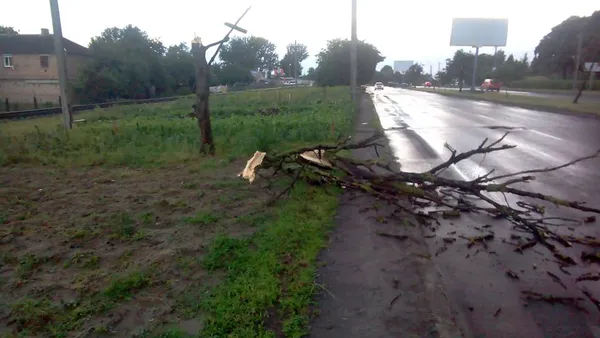 Що наробила негода в Луцьку  (фото, відео)