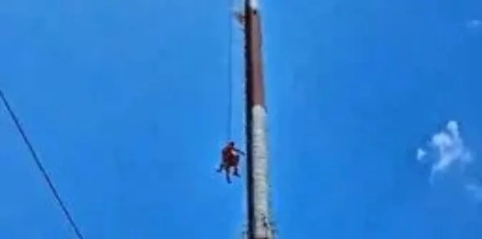 У Бразилії крадій кабелів застряг на телефонній щоглі