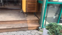 У Луцьку під час ремонту кафе «замурували» собаку (фото, відео)