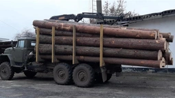 На Волині зупинили вантажівку з краденою деревиною (фото)