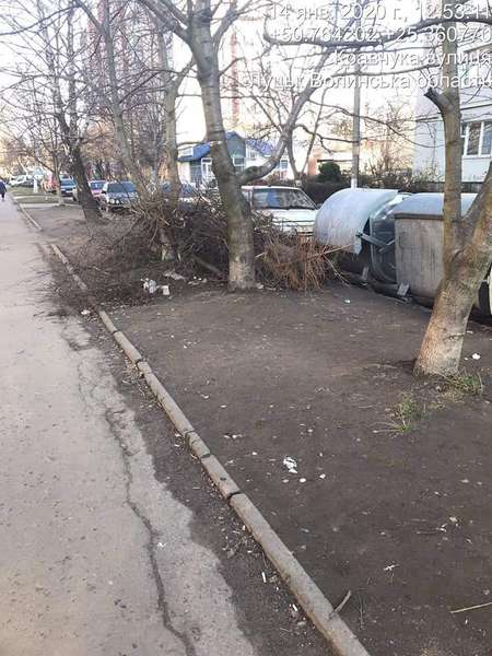 Купи гілля та сміття: у Луцьку виявили порушників благоустрою (фото)