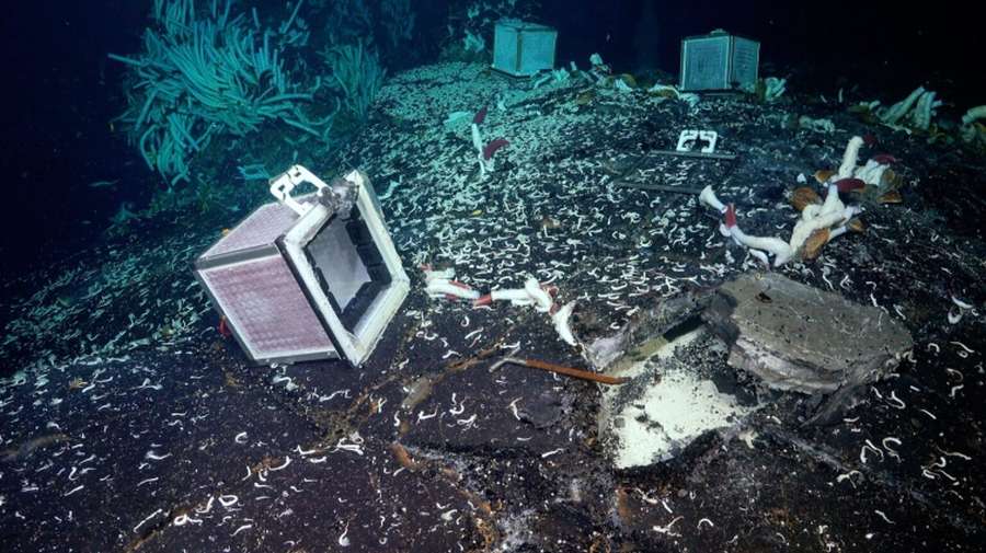 Під морським дном Землі виявили нову екосистему (фото)