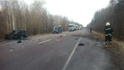 На ковельській трасі ВАЗ зіткнувся з вантажівкою: загинув волинянин (фото)