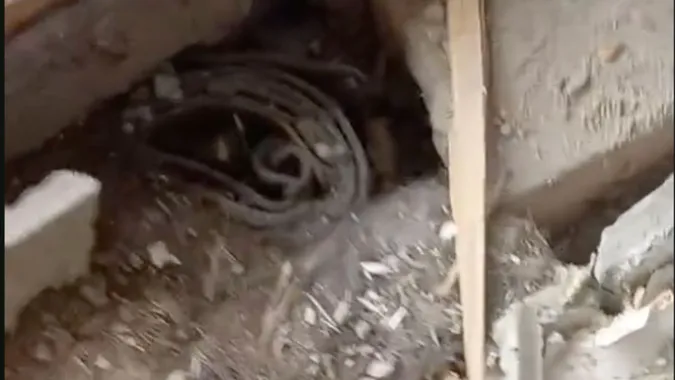 У Луцьку під час ремонту чоловік знайшов «капсулу часу» (відео)