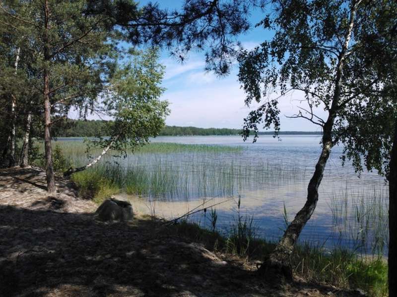 Два озера Волині  потрапили у ТОП найкрасивіших в Україні 
