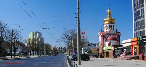 Вербна неділя у Луцьку на фото Віктора Чухрая