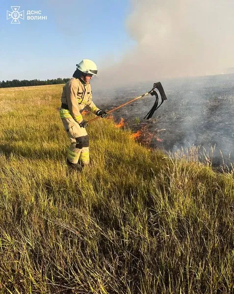 Між селами на Ковельщині загорілася суха трава (фото)