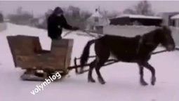 «Сільський дрифт»: на Волині влаштували екстремальний заїзд на санчатах (відео)