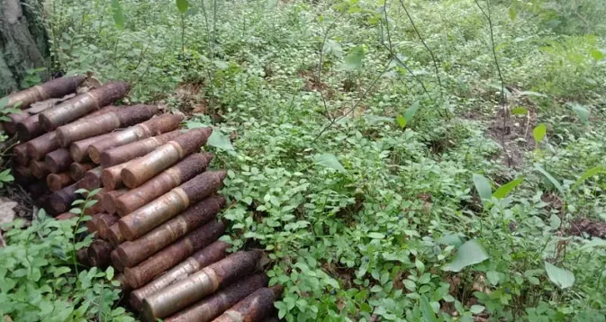 Волиняни шукали чорниці, а знайшли снаряди (фото)