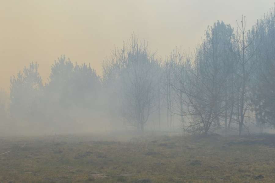 Отруйний дим, спалені поля і ліс: на Волині підпалили два смітники (фото, відео)