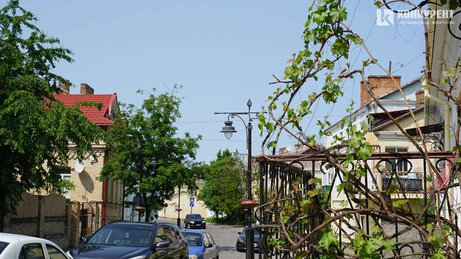 Літо на порозі: вулиця Братковського вабить тишею і квітами (фото)