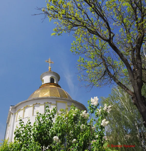 Вербна неділя у Луцьку на фото Віктора Чухрая
