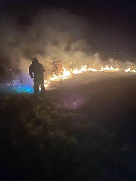 На Волині вночі ледь не згорів дачний масив (фото)