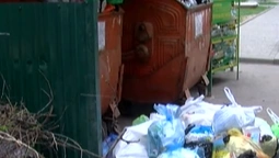 Лучани нарікають на несвоєчасне вивезення сміття (відео)