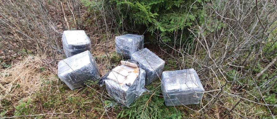 Не встигли забрати: в лісі на Волині знайшли контрабандні ліки (фото)