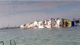 У Чорному морі перекинулося судно, яке перевозило 14 тисяч овець (фото)