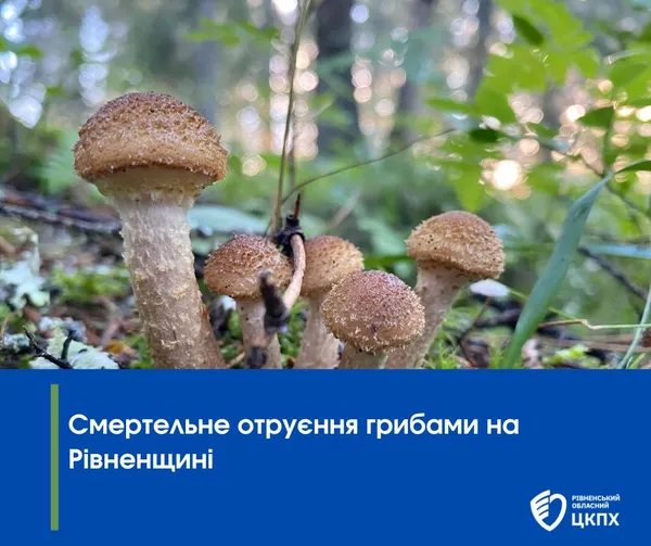 У сусідній з Волинню області літня жінка померла від отруєння грибами