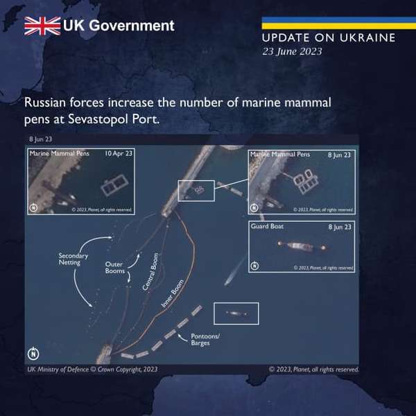 РФ використовує дельфінів для захисту бази флоту в Севастополі, – британська розвідка
