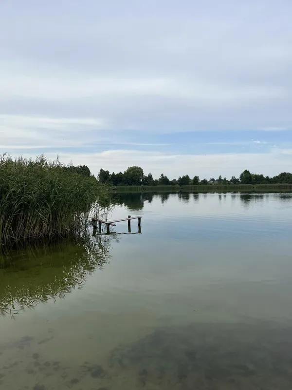 І порибалити, і покупатися: показали ще одне затишне озеро на Волині (фото)