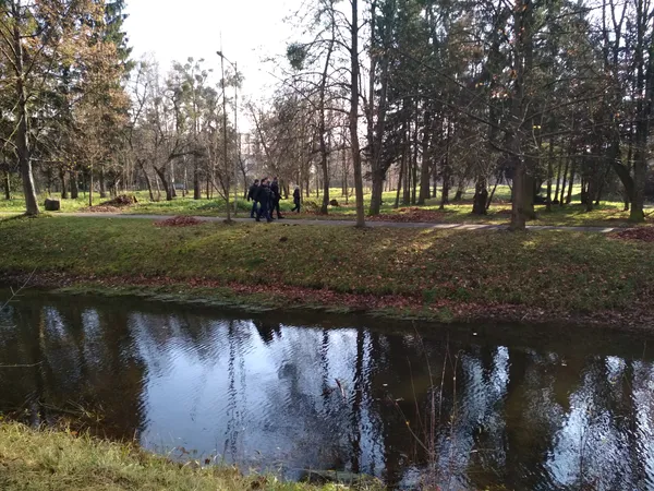 У луцькому парку посадовці висадили махровий жасмин (фото)
