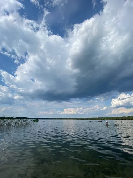 Під безкраїм блакитним небом: показали чарівні світлини з озера Світязь (фото)
