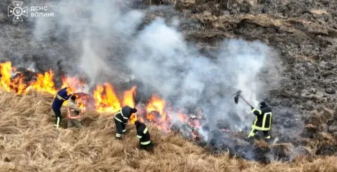 Підозрюють підпал: у волинському нацпарку розповіли про наслідки страшної пожежі