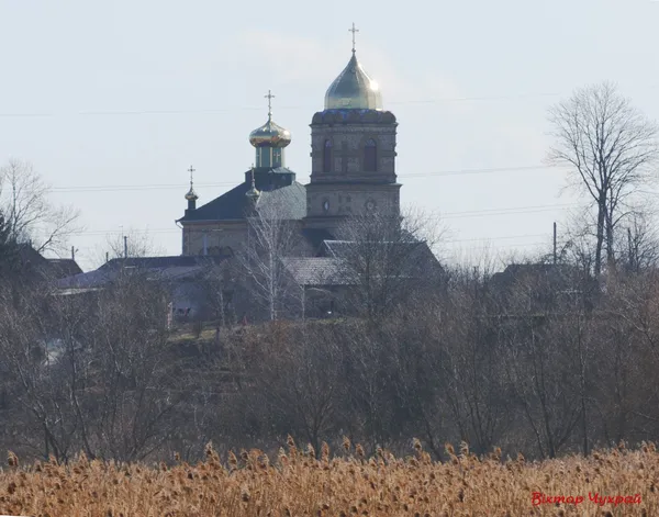 Вербна неділя у Луцьку на фото Віктора Чухрая