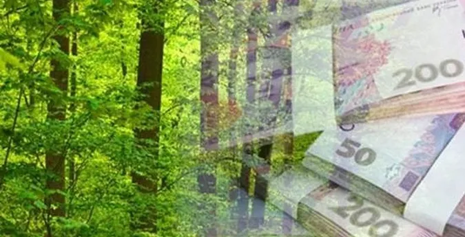 Ексдиректора волинського лісогосподарства підозрюють у розтраті понад 15 мільйонів