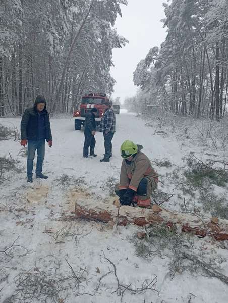 Заблокувало рух транспорту: у Луцькому районі на дорогу впало дерево (фото)