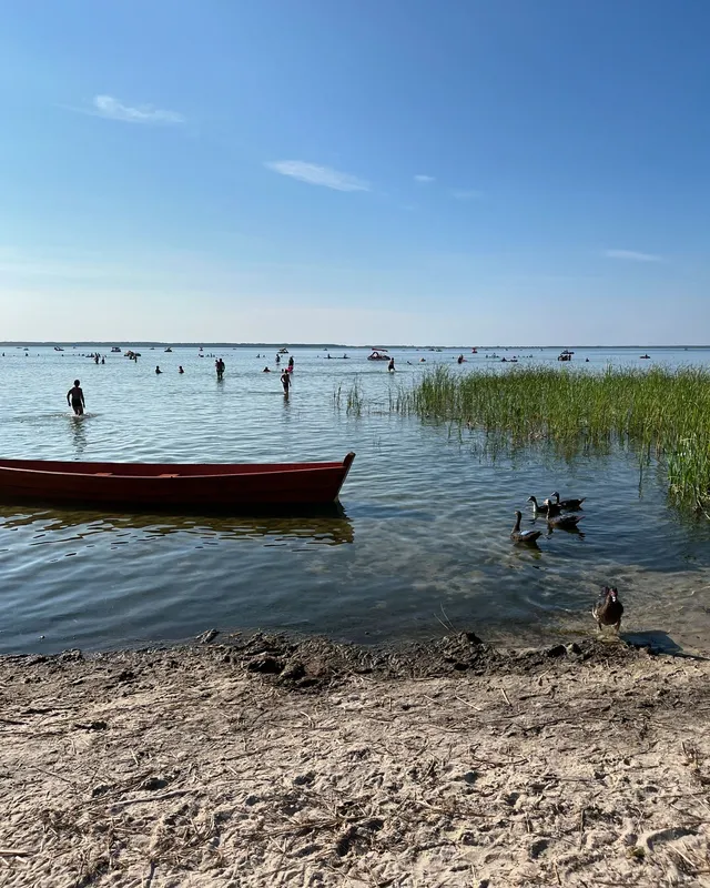 Спека, прохолодна водичка і качечки: як минають останні літні дні на Світязі (фото)