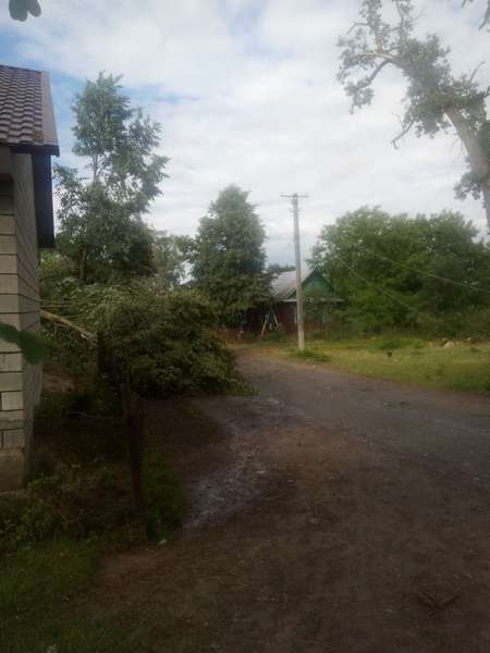 Негода на Волині порозкривала хати та повалила дерева (фото, відео)