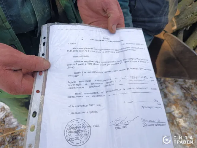 Комунальники демонструють не заповнений ордер на зрізання дерев