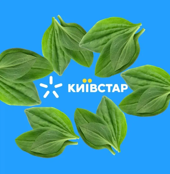 Не втратимо зв'язок: меми про Київстар