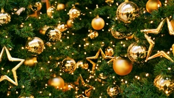 Сім'я, мандарини та подарунки під ялинкою: як відомі волиняни відзначають Новий рік (фото)