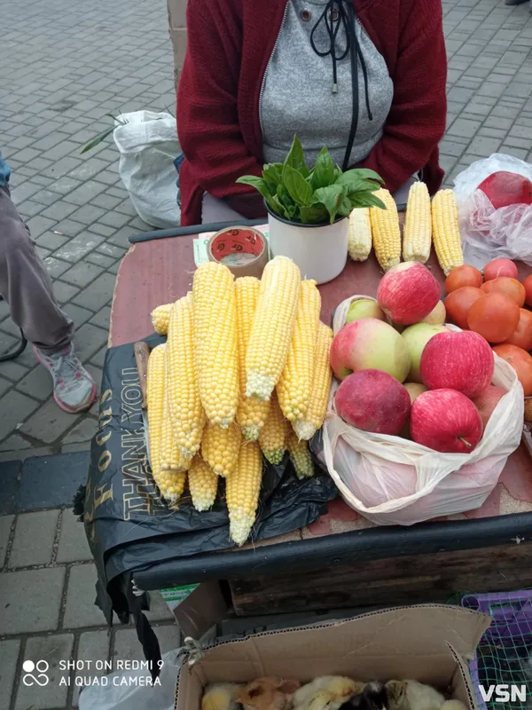 Скільки коштує свіжа домашня городина на ринку (ціни, фото)