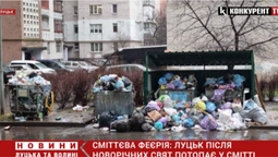 Переповнені баки у дворах: Луцьк після новорічних свят потопає у смітті  (відео)