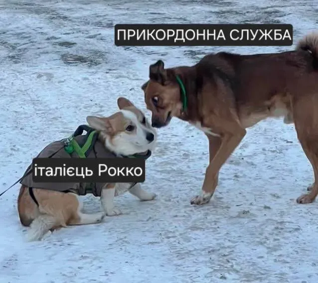Хто такий італієць Рокко і чому його не пустили в Україну (оновлено)