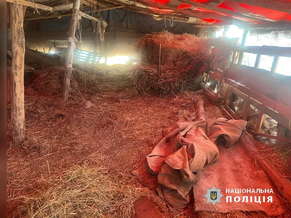 Зниклих у Луцькому районі дівчат знайшли у несподіваному місці
