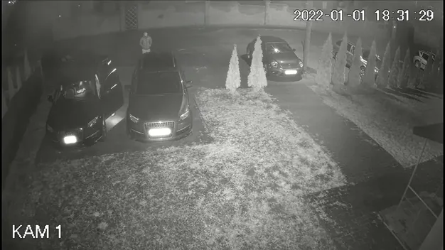 Біля Луцька викрали Audi Q7: крадіїв зафіксували камери (фото, відео)