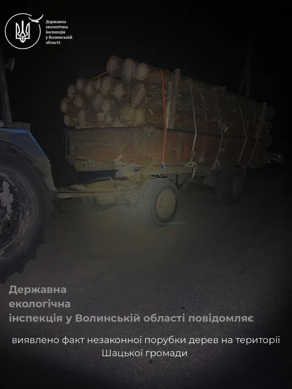 На Волині виявили незаконну порубку та вивезення деревини