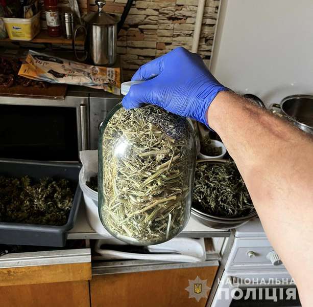 Зібрав врожай конопель: у волинянина знайшли наркотики на 150 тисяч гривень (фото, відео)