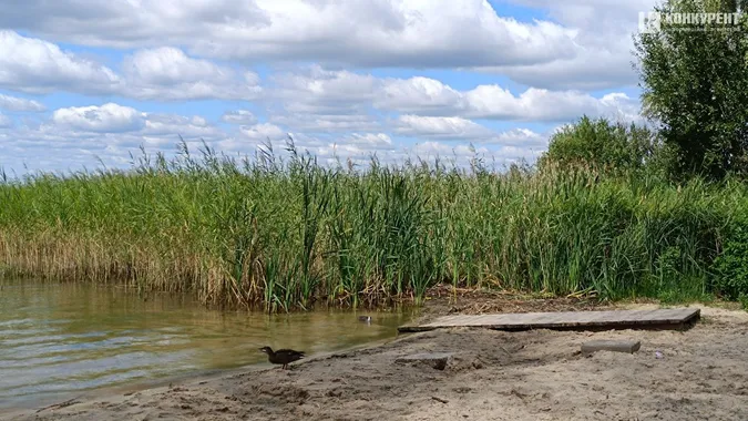 На хвилях Світязя: атмосферні фото неймовірних краєвидів