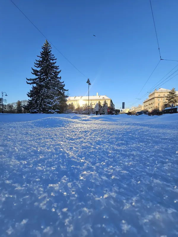 Кликуни несуть світло: показали мальовничі ранкові пейзажі Луцька (фото)