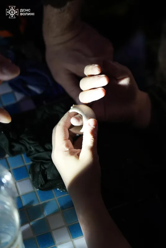 У Луцьку в басейні рятували дитину (фото, відео)