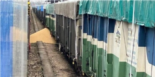 У Польщі знову висипали українське зерно на залізницю